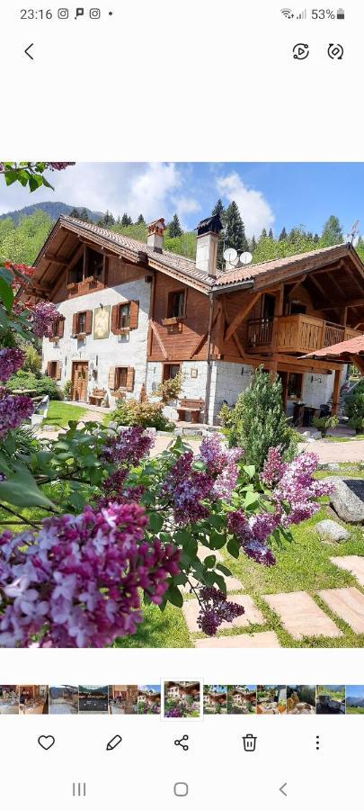 Maso Pin Bed and Breakfast Madonna Εξωτερικό φωτογραφία