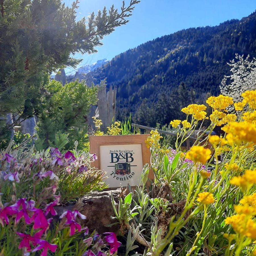 Maso Pin Bed and Breakfast Madonna Εξωτερικό φωτογραφία