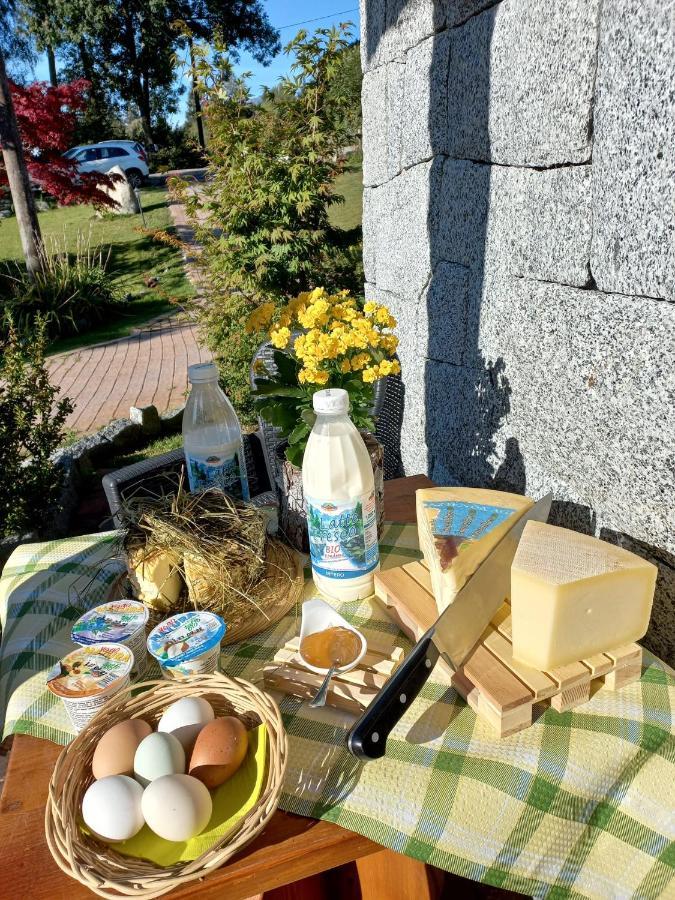 Maso Pin Bed and Breakfast Madonna Εξωτερικό φωτογραφία