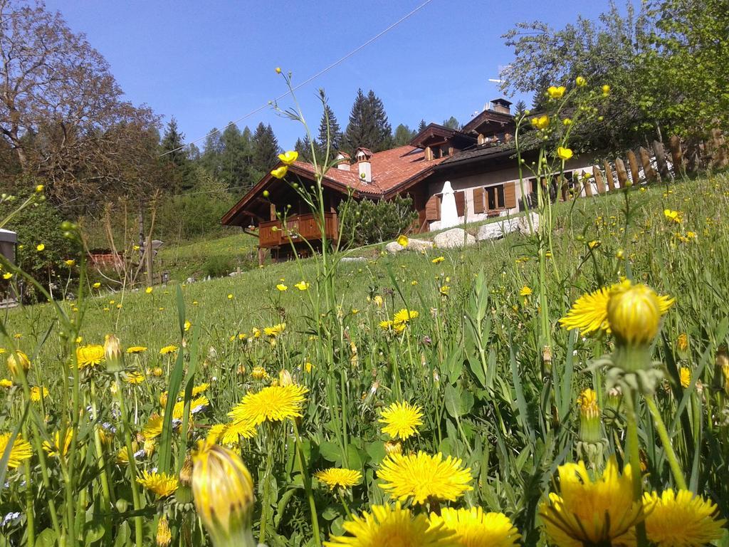 Maso Pin Bed and Breakfast Madonna Εξωτερικό φωτογραφία
