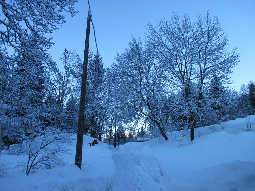 Maso Pin Bed and Breakfast Madonna Εξωτερικό φωτογραφία